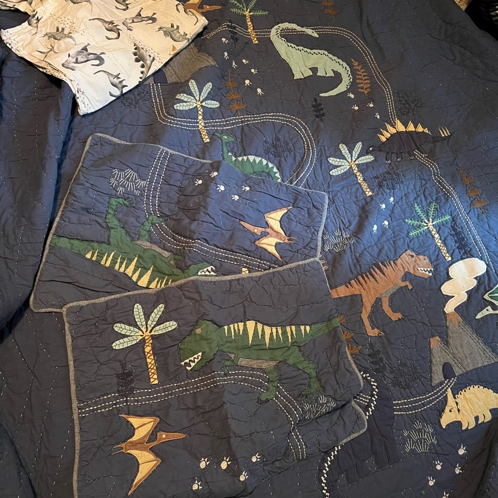 Kids Dinosaur-Themed Quilt, Shams and pillow cases (Full/Queen)